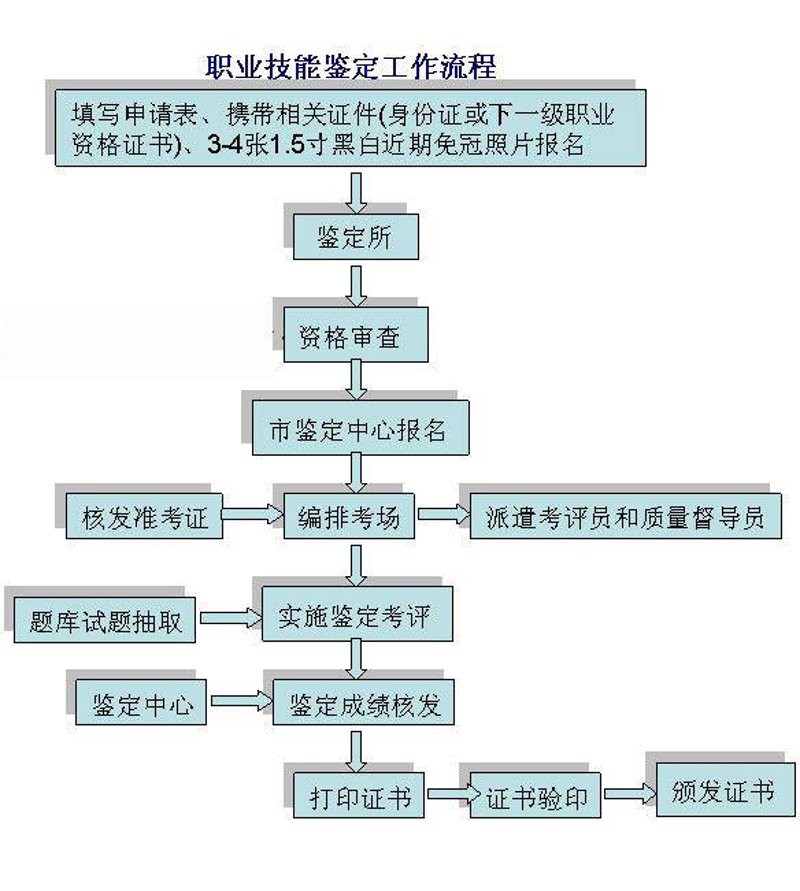 人才技能评价:行业的未来风向标