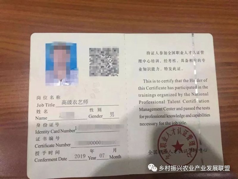 职业技能培训市场动态:把握趋势,开启未来之门